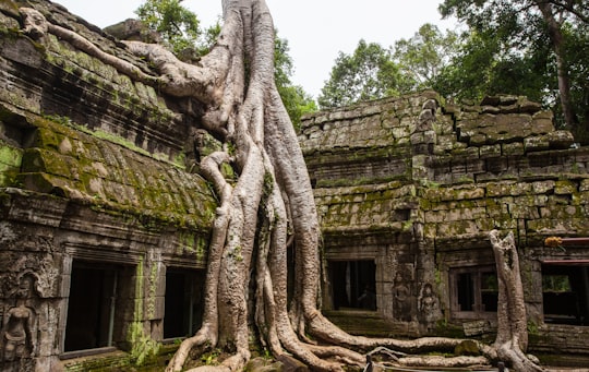Ta Prohm things to do in Kampong Phluk