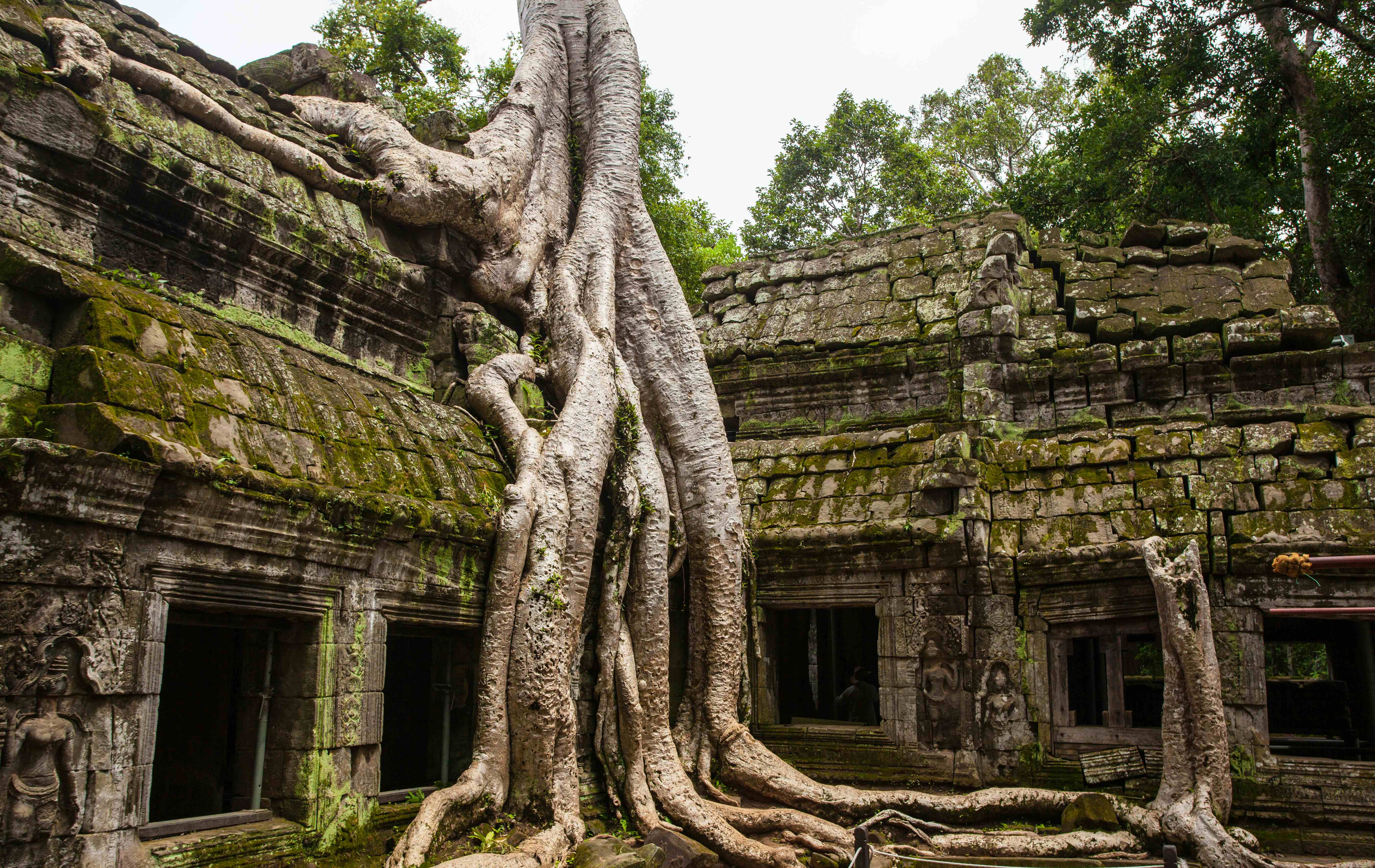 Cambodia image