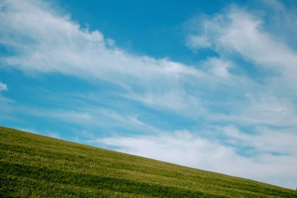 landscape photography of green grass field