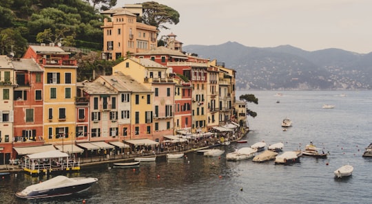 parked boats in Portofino Harbour Italy