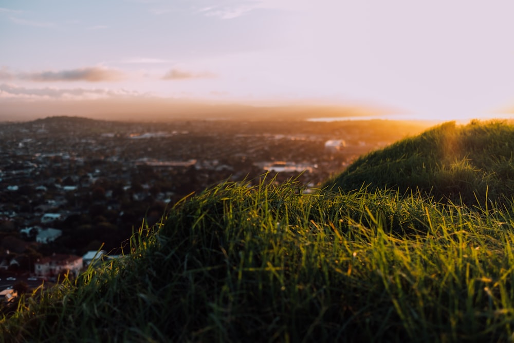 landscape photography of green grass overlooking houses