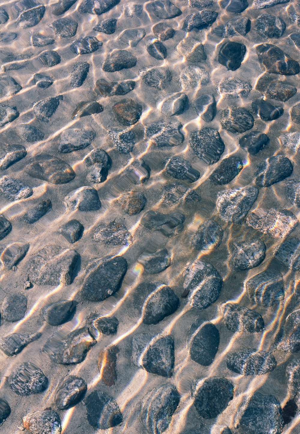 gray and black stones