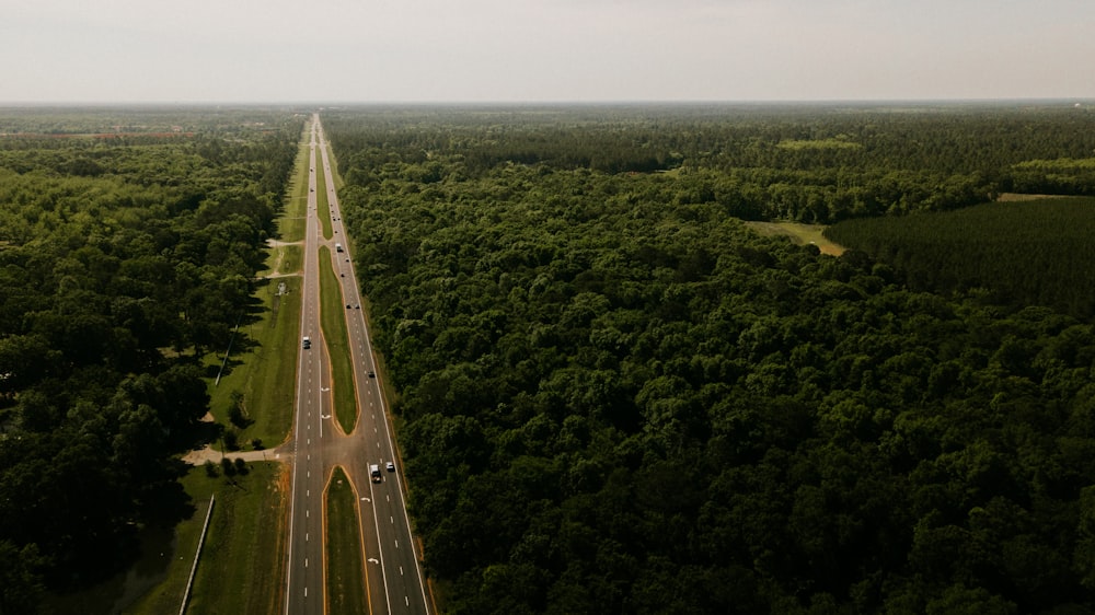 camino gris en medio de los árboles