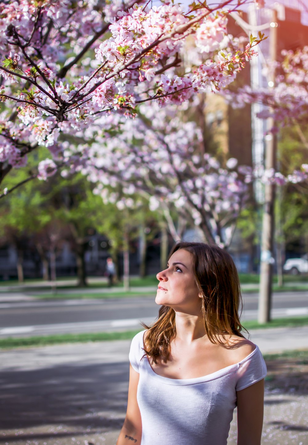 woman wearing pink top looking at pink flowering tree