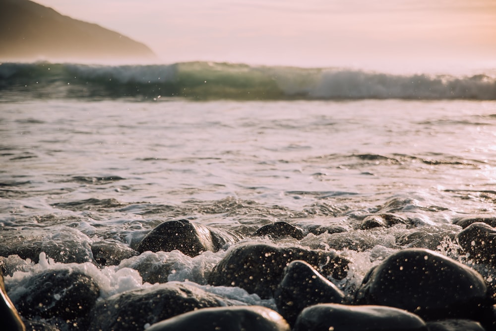 focus photography of rocks in body of water