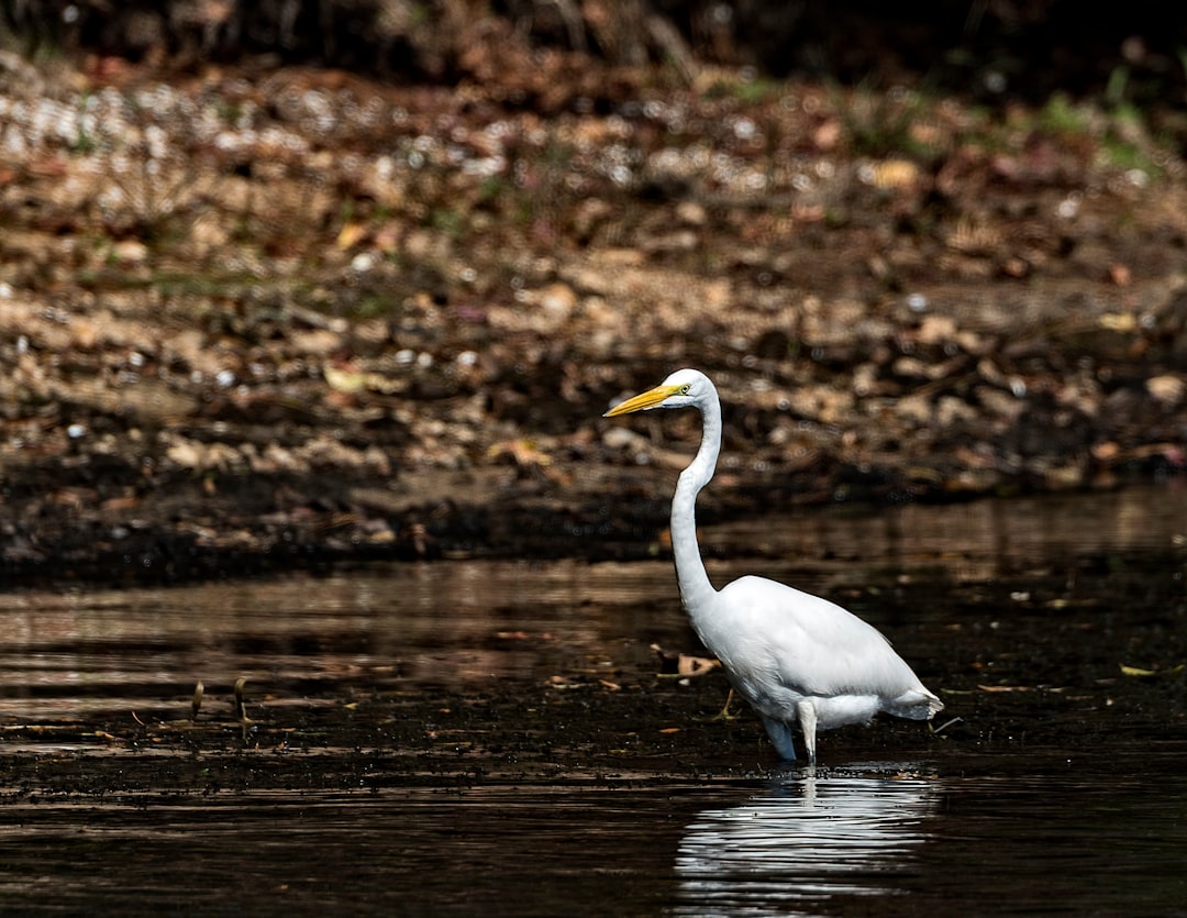 travelers stories about Nature reserve in Harris Lake County Park, United States