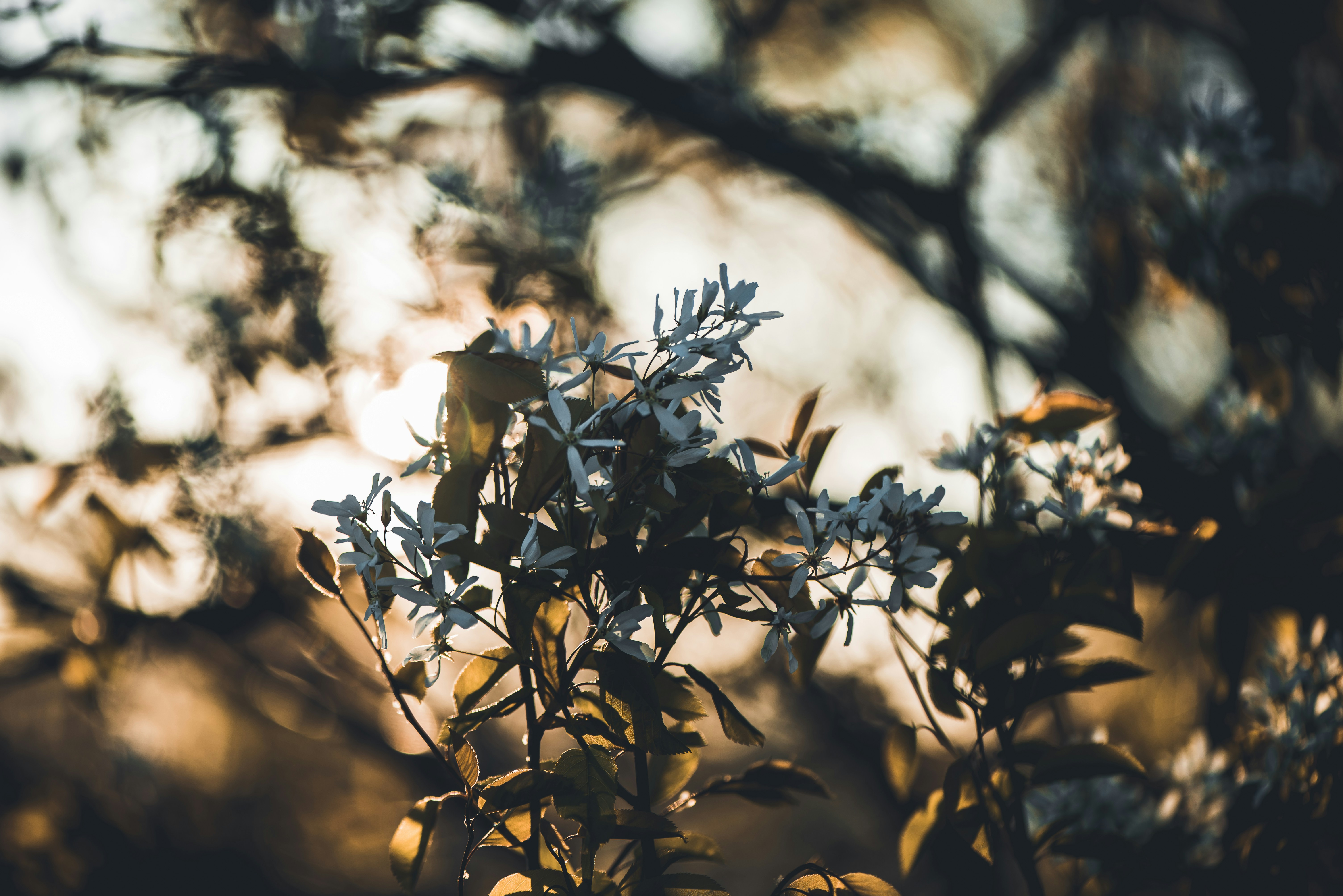 Photo by marcojodoin