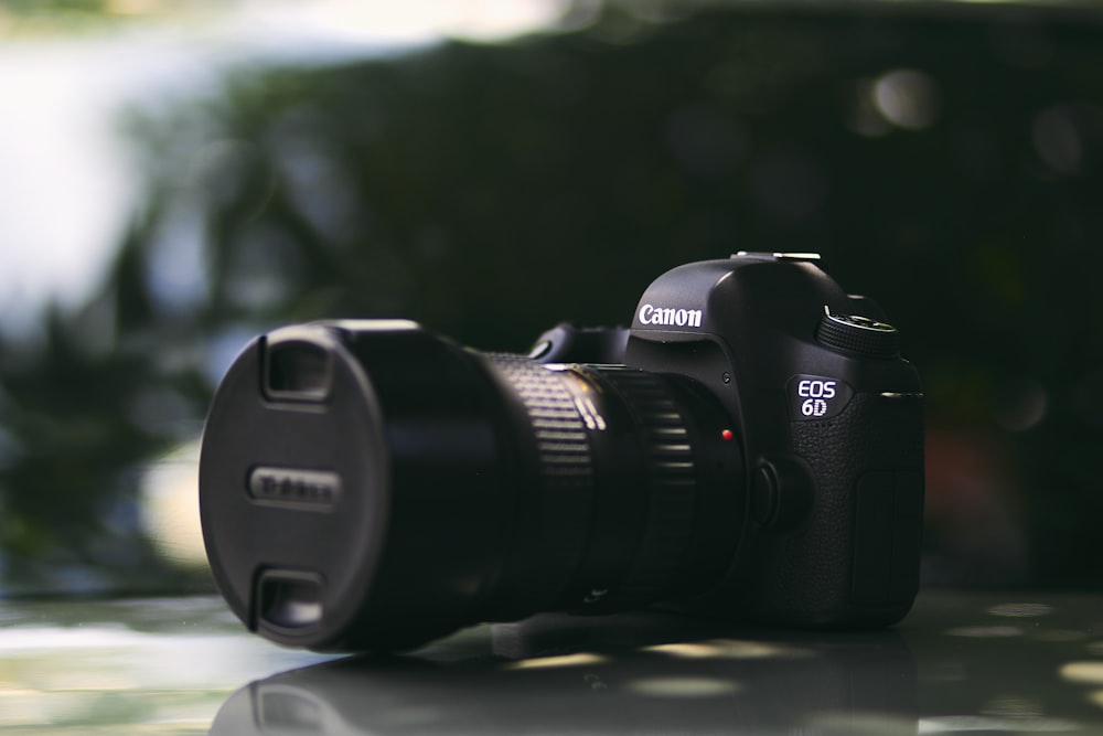 fotografía de enfoque selectivo de Canon EOS 6D