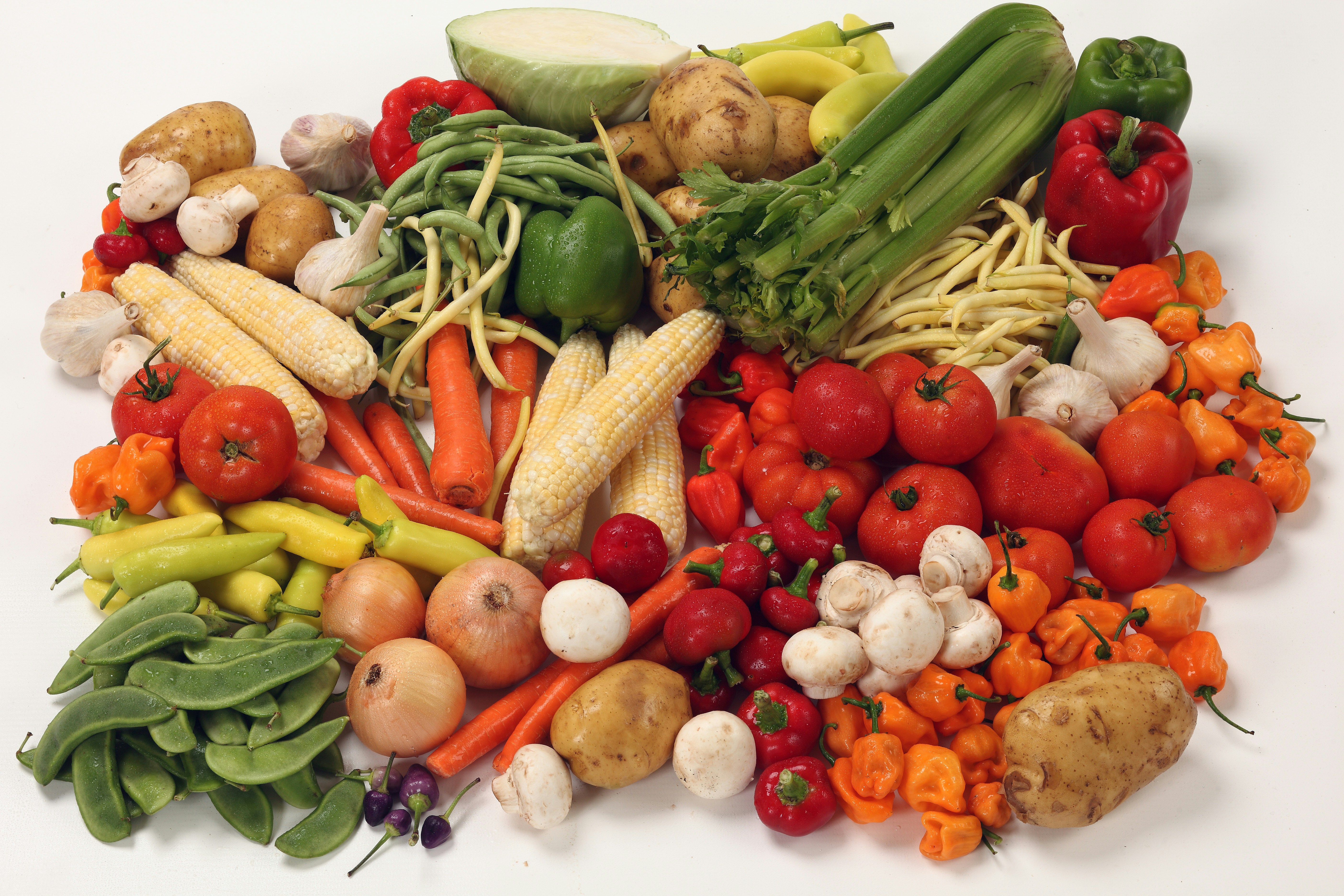 photo 1526353631603 7a3731bd9eb5?ixlib=rb 4.0