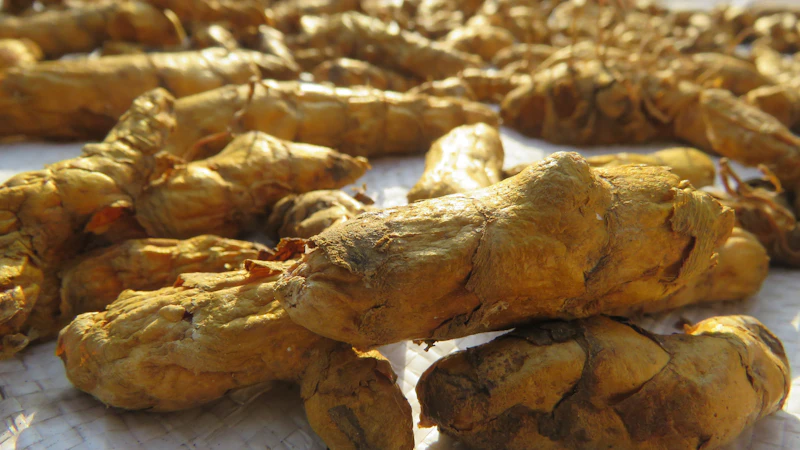 Fresh turmeric rhizomes and powder