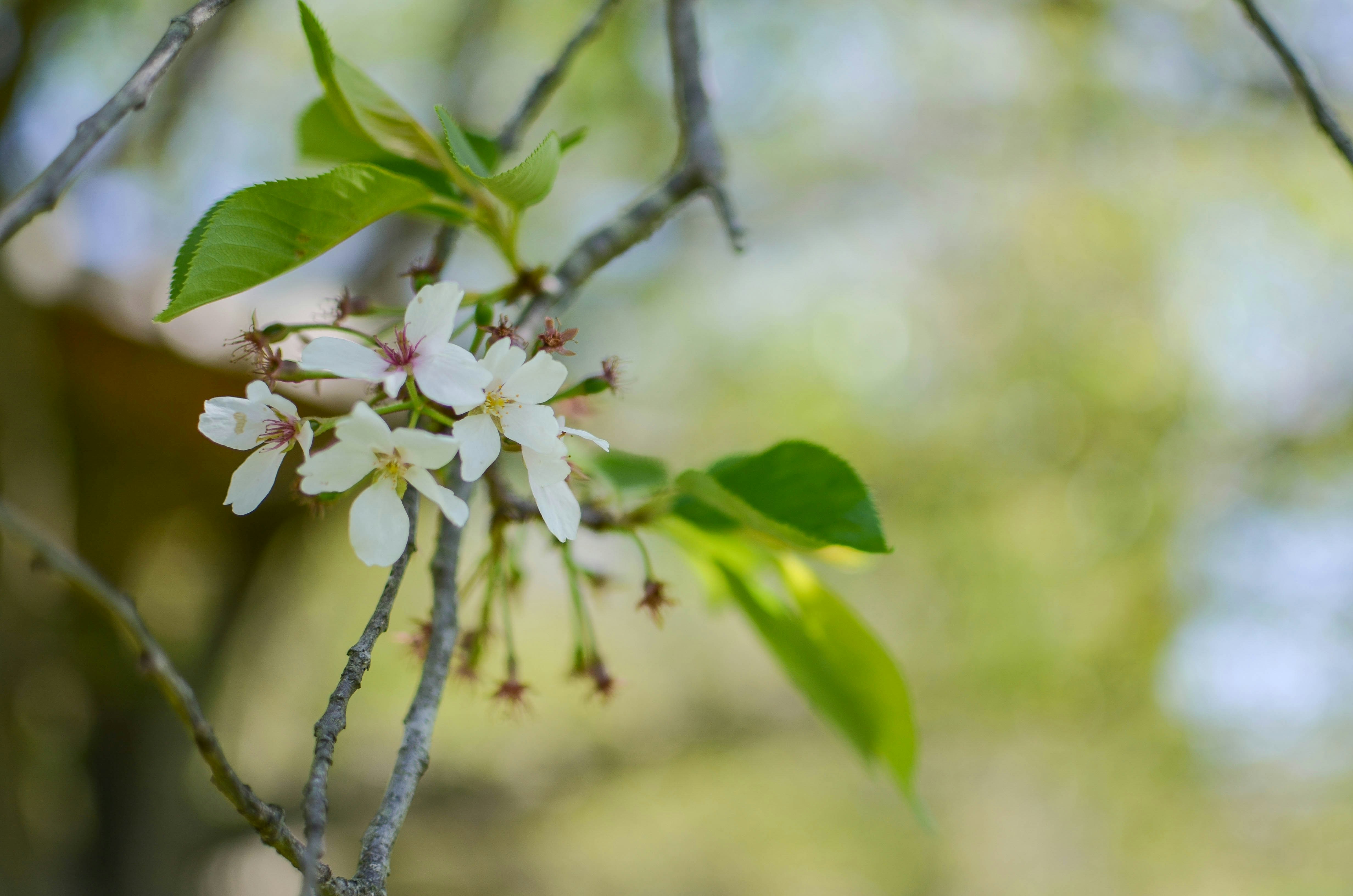 Photo by joyshotsphotography