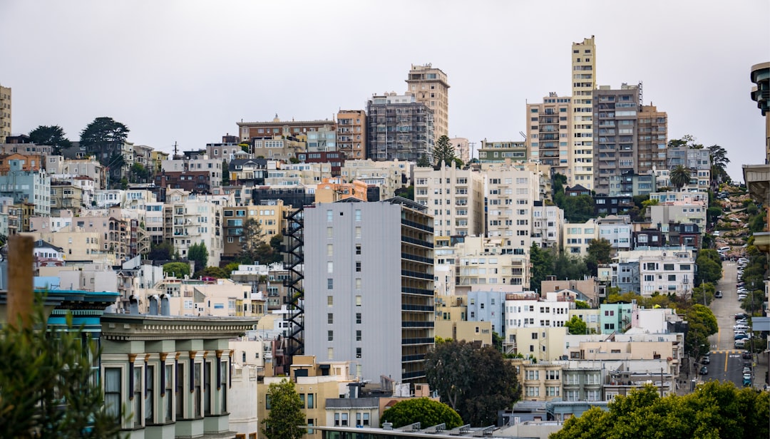photograph of city high-rise buildings,