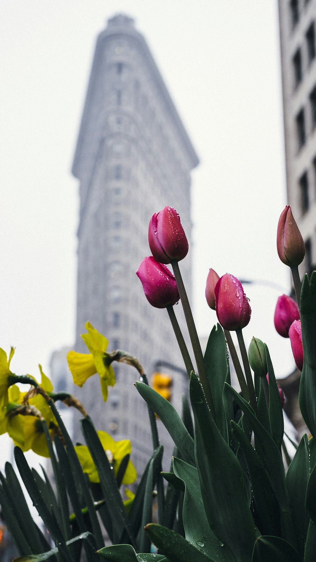 Flatiron Building, New York