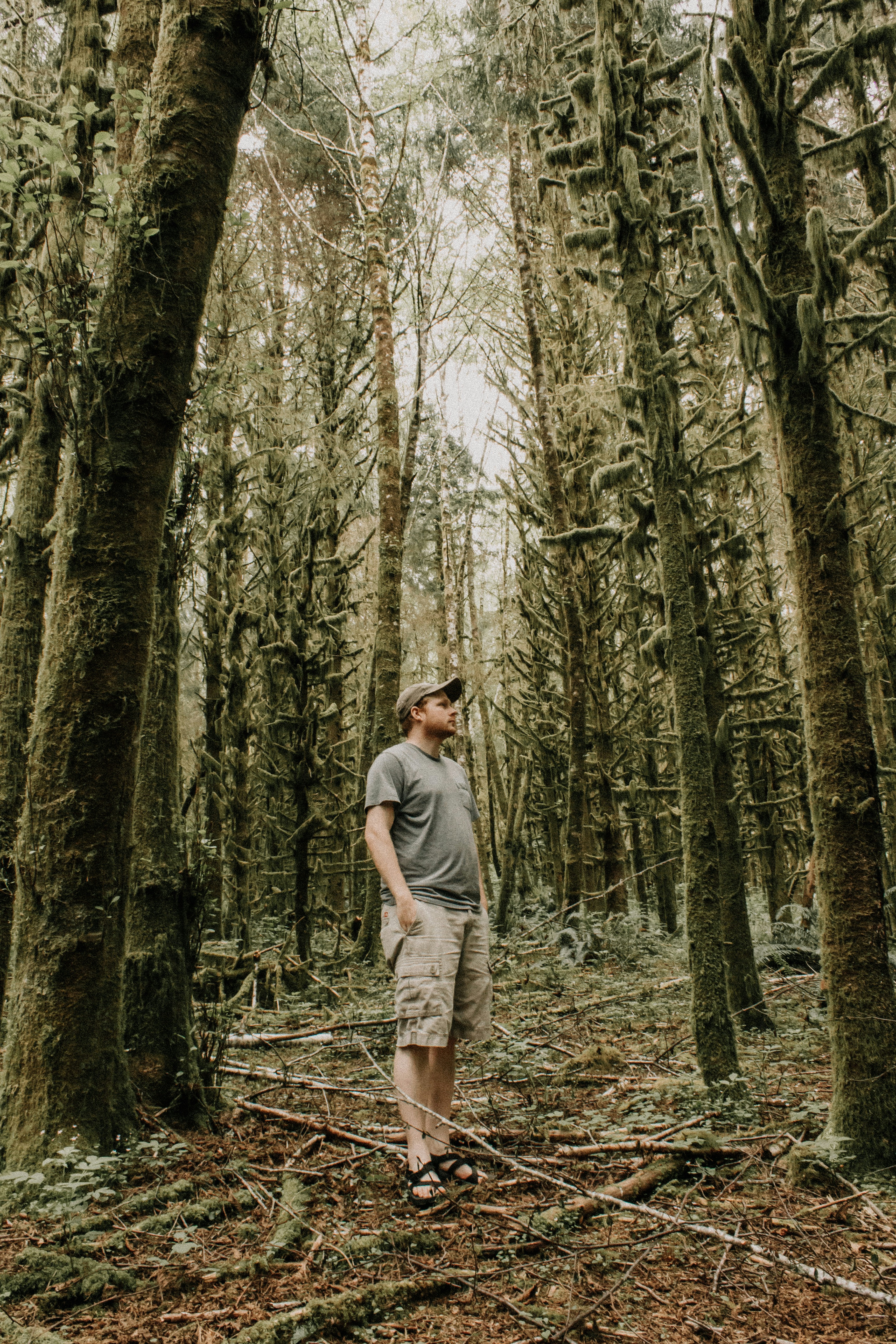 Un hombre parado en medio de un bosque