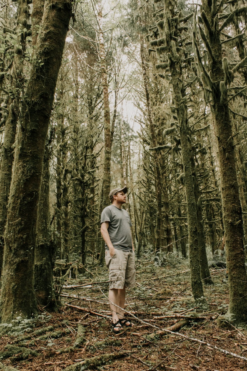 Un uomo in piedi nel mezzo di una foresta