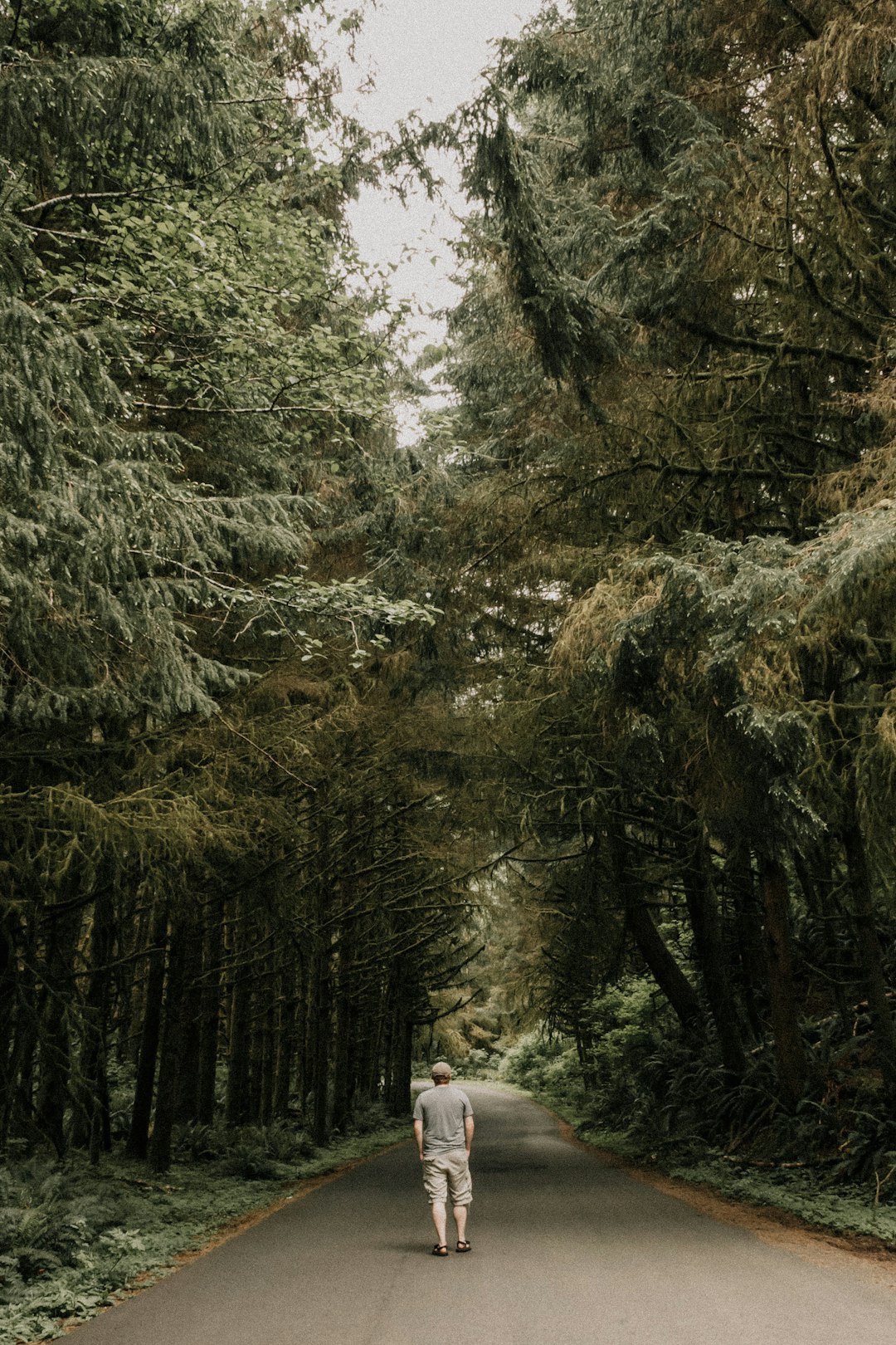 man walking on road in between of trees