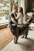 Emy and her gray and white cat sharing a quiet moment in a charming café corner.