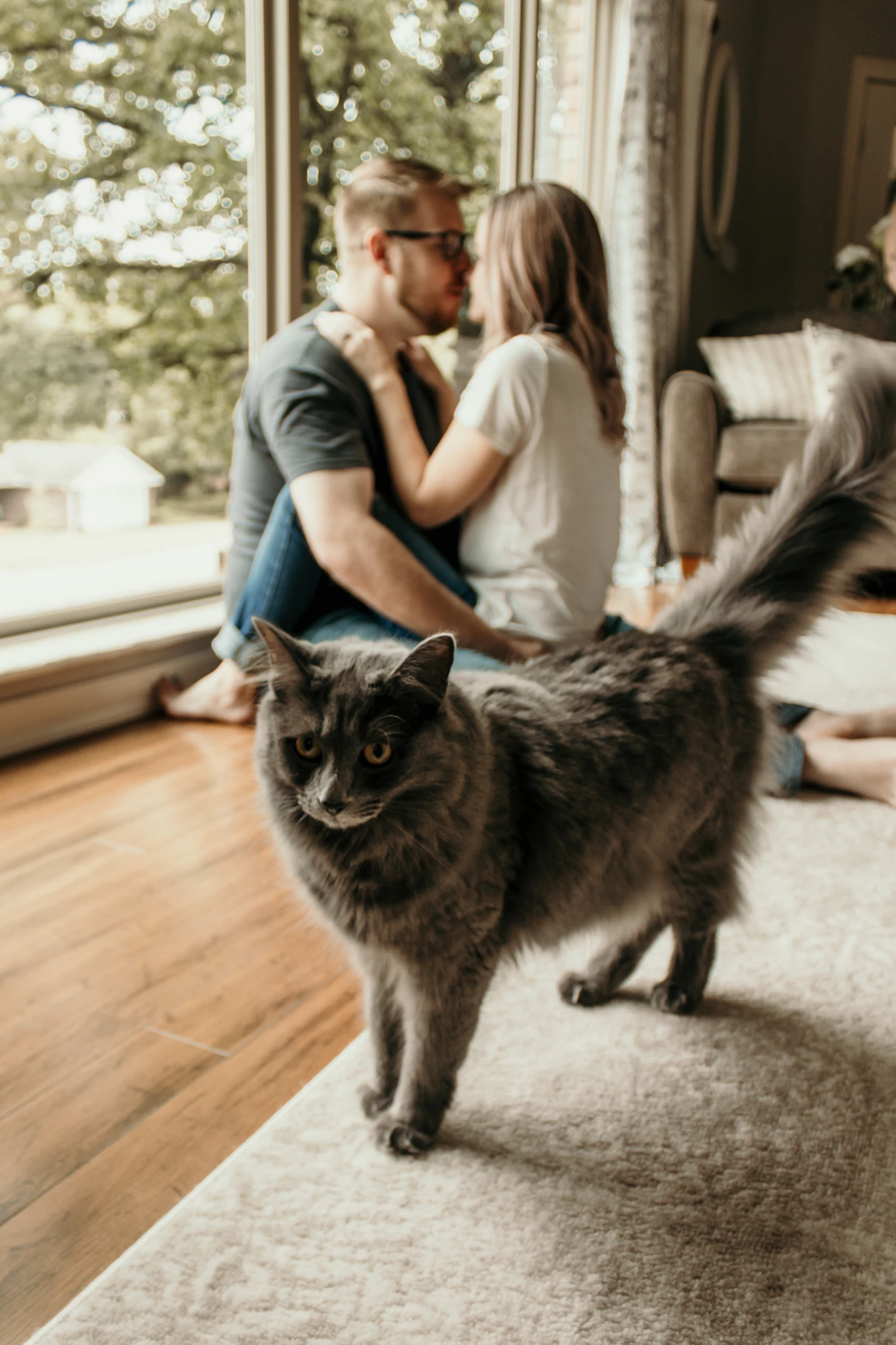 ライフスタイル別の記事「同棲で猫可賃貸を借りるときの契約確認」のアイキャッチ画像