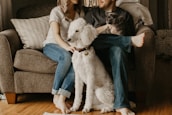 A happy family with their cat and dog sharing a moment in a bright living room.
