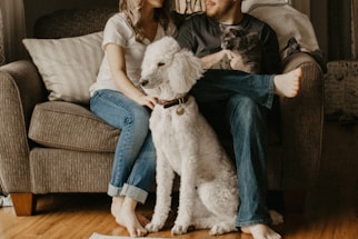 A cozy home corner with a dog and cat sitting peacefully together.