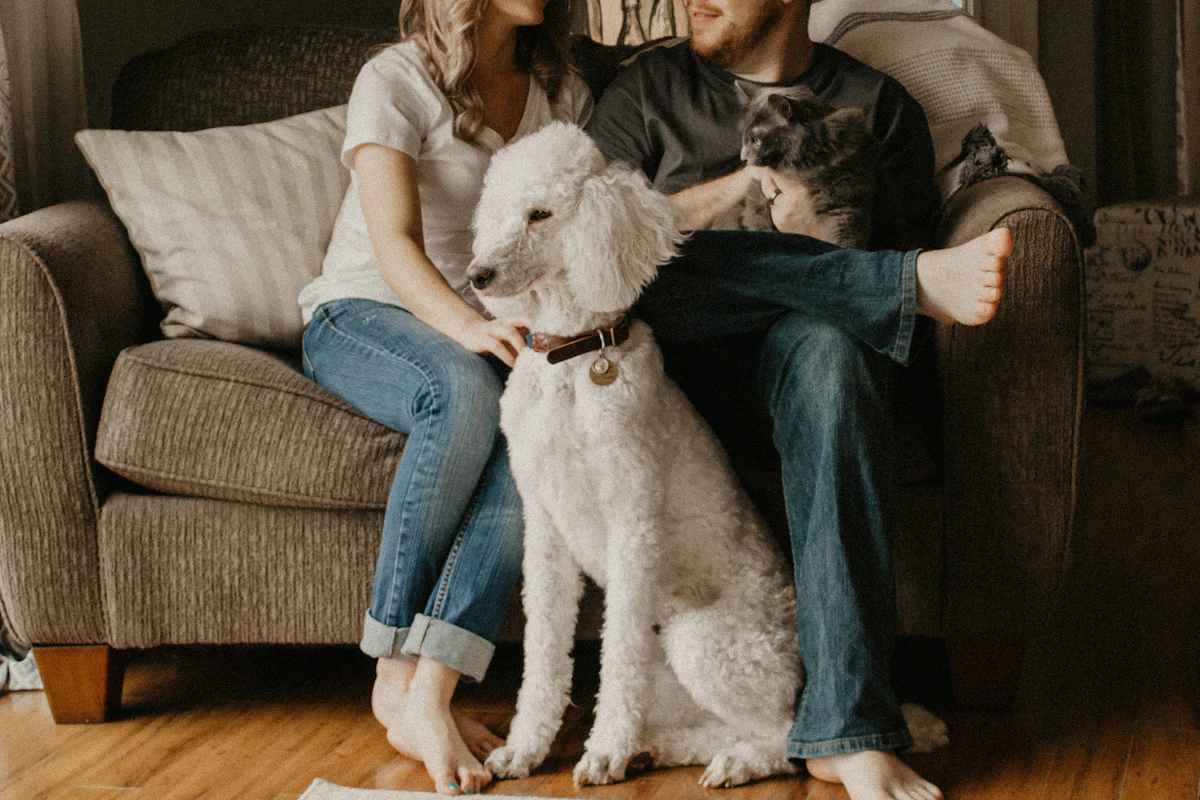 Couple sitting at home with their dog during a relaxed conversation