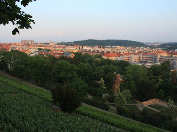 Sunset view over Mendoza city skyline, highlighting the local roots of vínculo365.