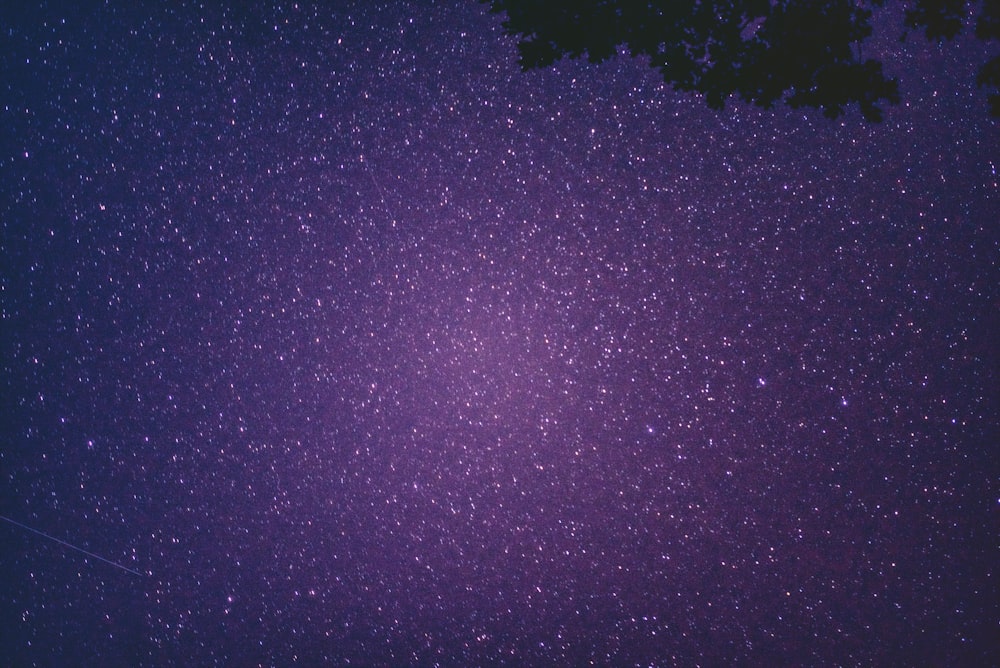 Silueta de árbol bajo cielo estrellado