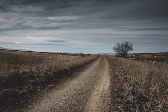 roadway in Otago Central Rail Trail New Zealand