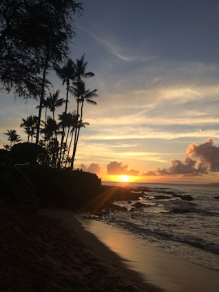A serene tropical beach with palm trees and clear blue water at sunset