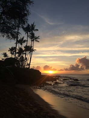 A serene tropical beach at sunset with palm trees silhouetted against a golden sky.