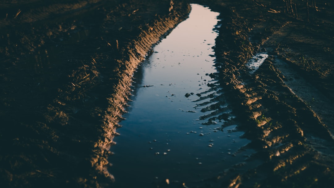 aerial photography of river