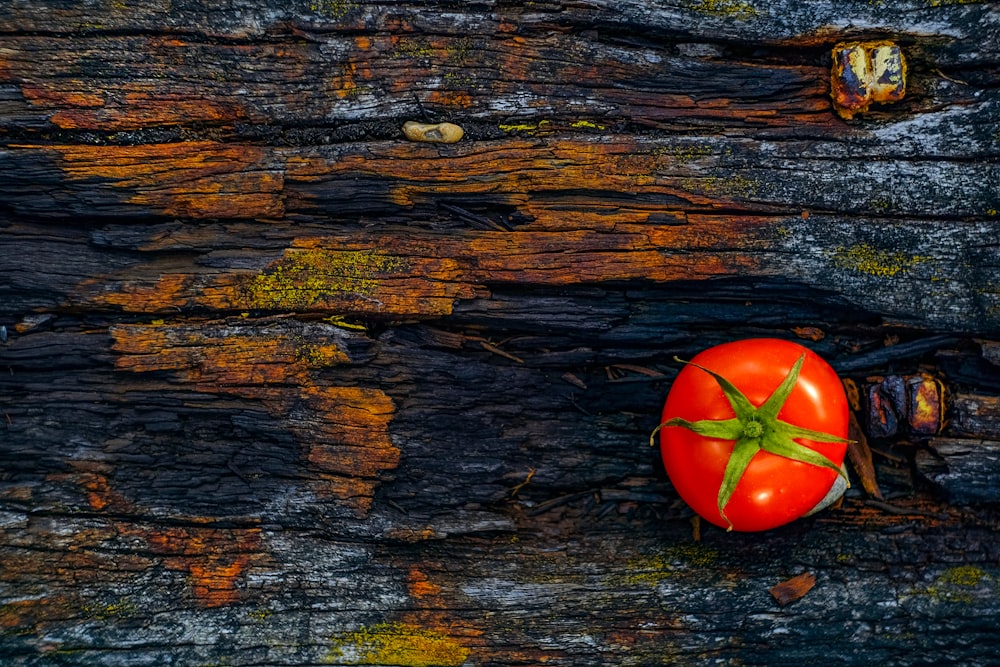 茶色の丸太に赤いトマト