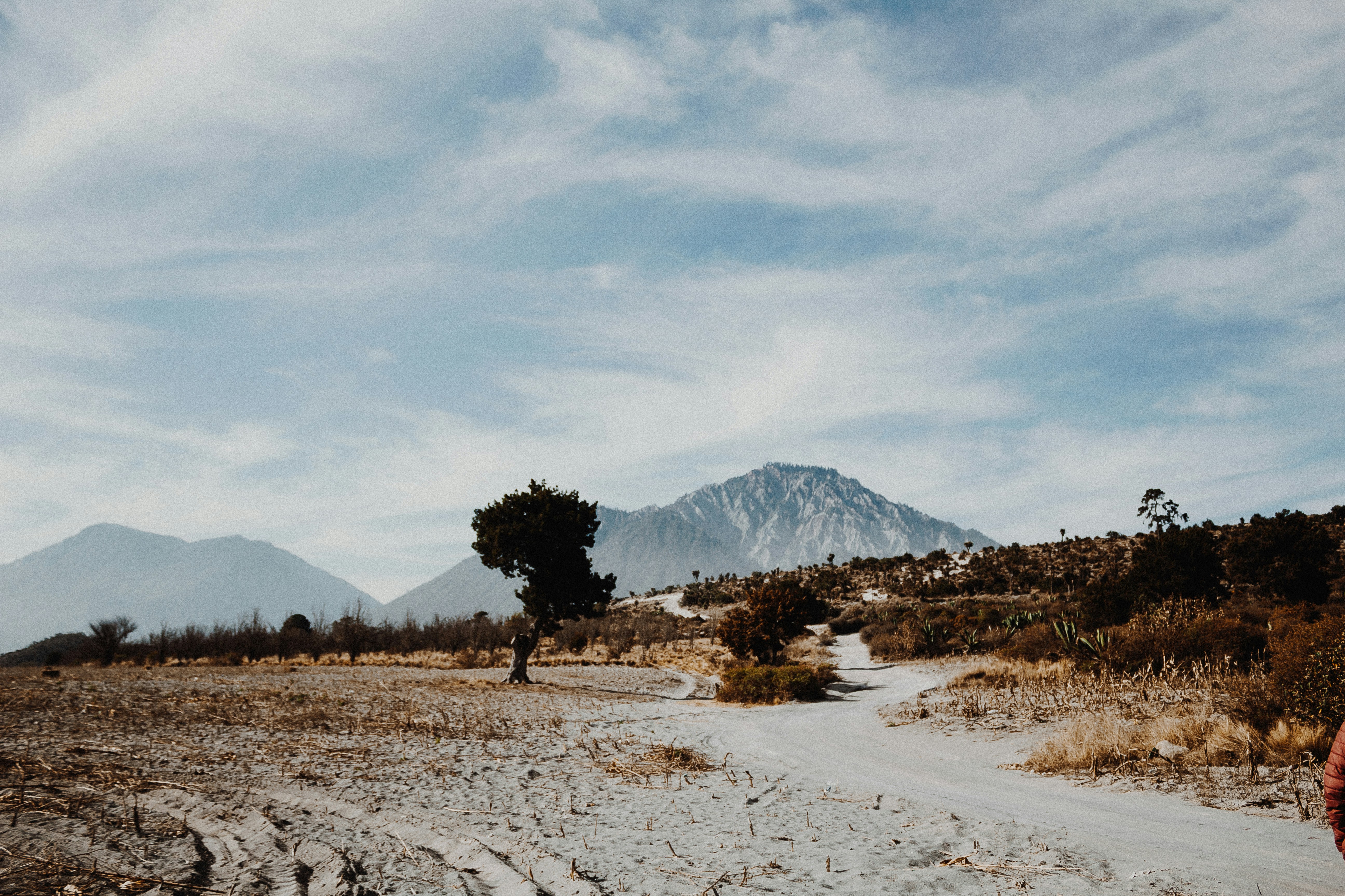 Photo by saintdennis_