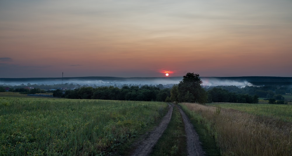 green field trail