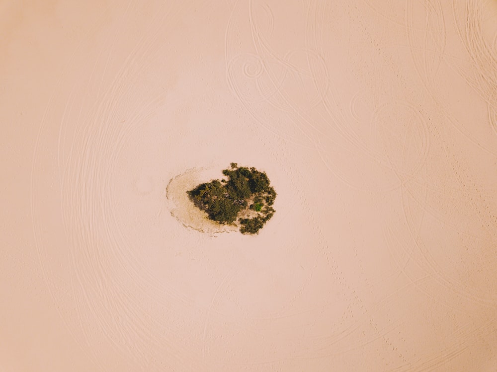 aerial photography of empty desert