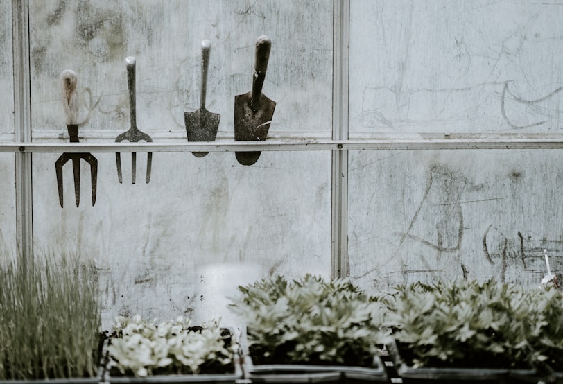 Gardening tools hanging near a window, with a plant placed below, creating a cozy, garden-inspired a