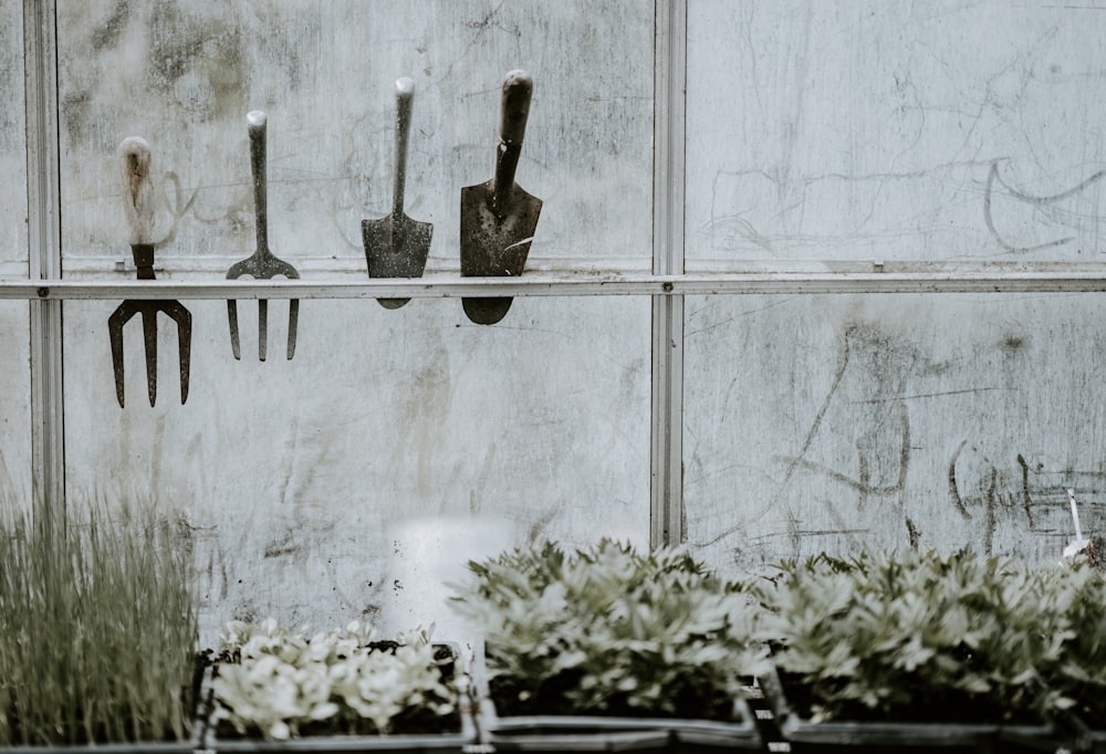 black cement trowels placed on near window