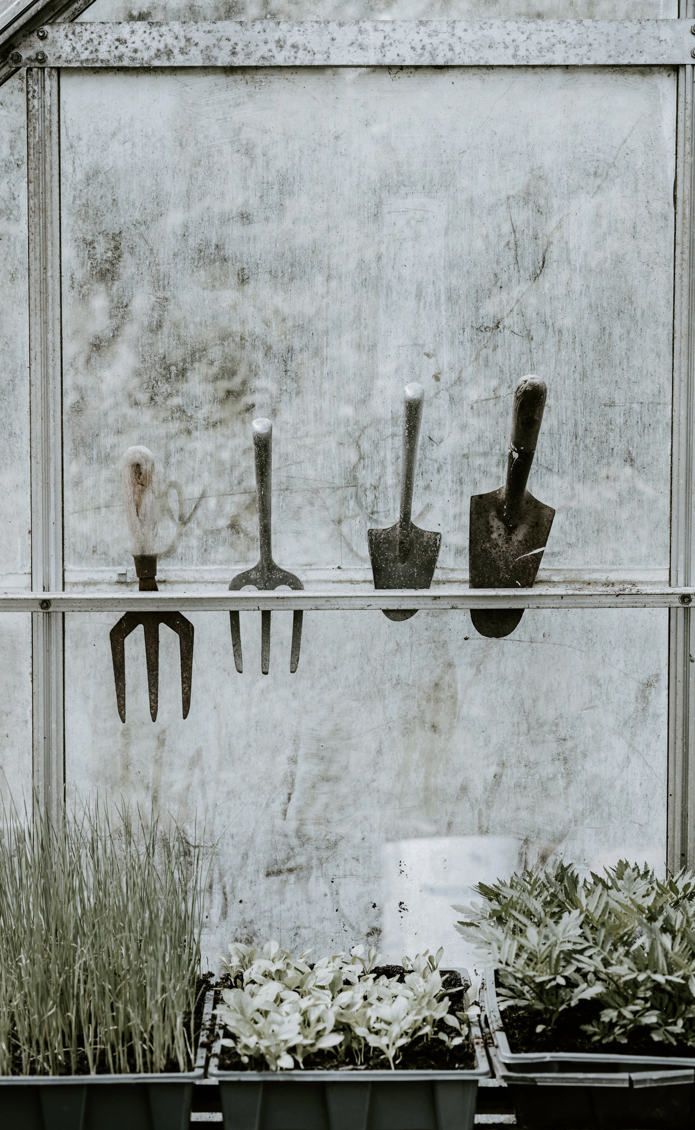 Gardening tool products