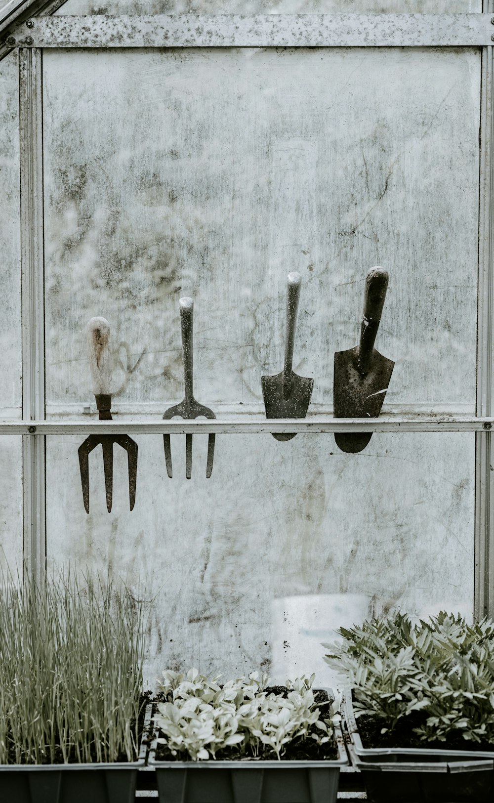 four handheld gardening tools on rack