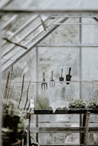 green leafed plant inside plant house