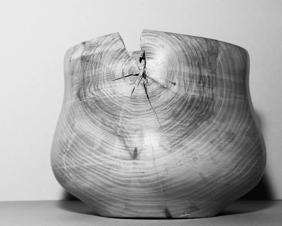 Hand-carved wooden bowl showcasing fine craftsmanship and rich wood grain