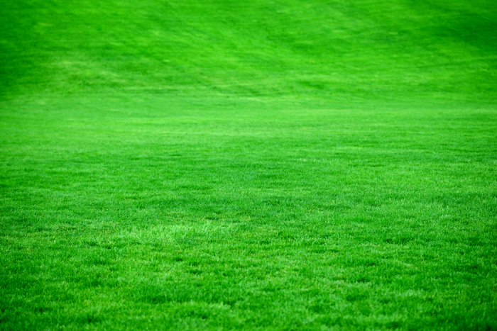 Sod Installation in Bethesda, MD