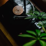 black turntable on brown wooden table