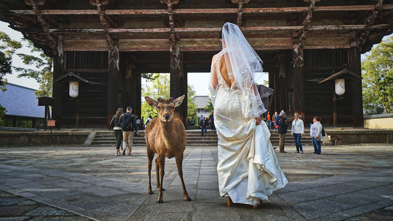 Best Photo Spots in Nara: 10 Locations Worth the Walk