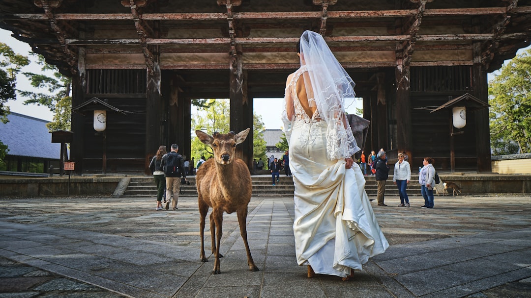 Was able to capture this deer posing while a bride was getting ready to pose in the opposite direction, in front of the majestic gate to the Todai-ji temple in Nara, Japan.