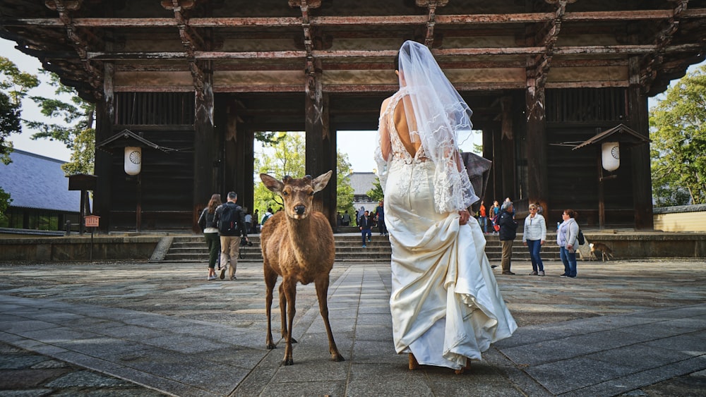 woman in wedding dress standing beside deer