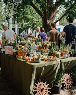 people beside assorted plants on table