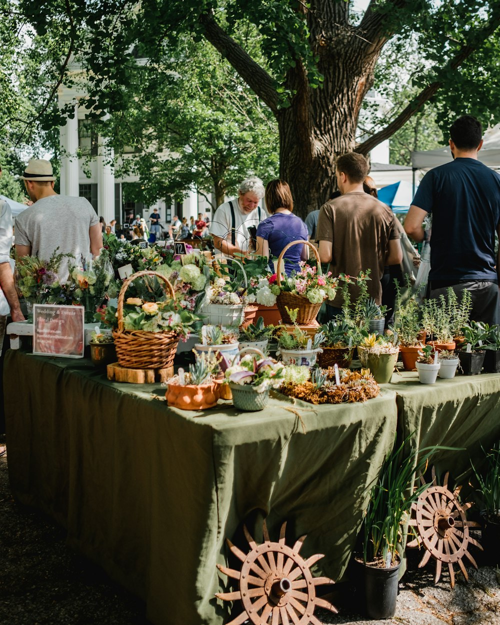 people beside assorted plants on table