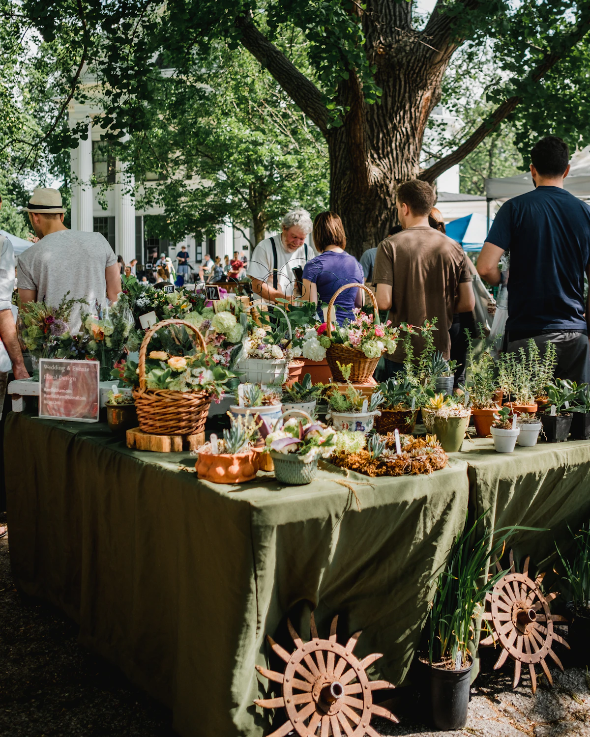 Shoppers browsing produce stalls at an outdoor farmers' market
