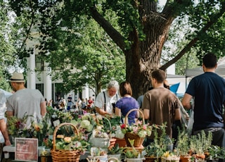 people beside assorted plants on table